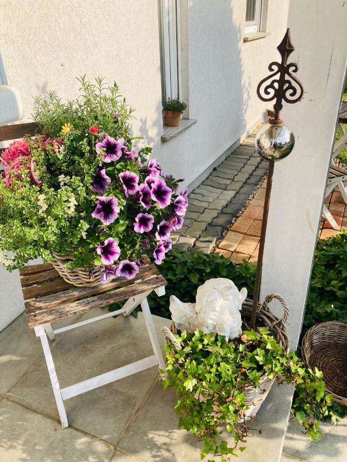 Das Ferienhaus-Zurueck Zum Ursprung Güssing Eksteriør bilde